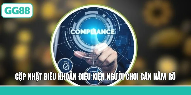 Cập nhật điều khoản điều kiện người chơi cần nắm rõ 