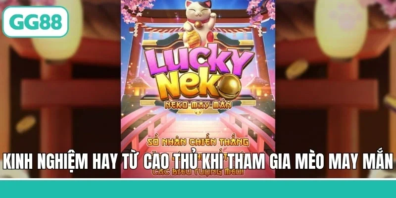 Kinh nghiệm hay từ cao thủ khi tham gia mèo may mắn