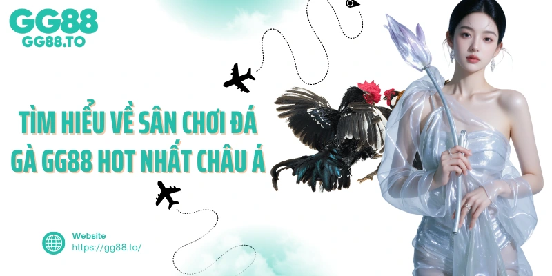 Tìm hiểu về sân chơi đá gà GG88 hot nhất châu Á