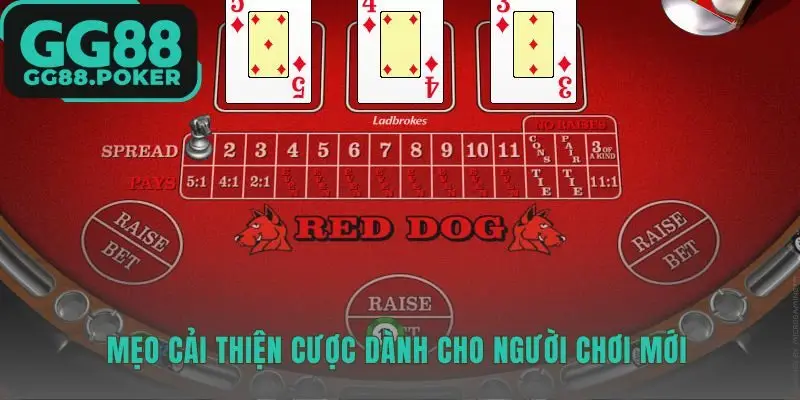 Mẹo cược Red Dog GG88 chỉ Tố khi Spread từ 7 trở lên